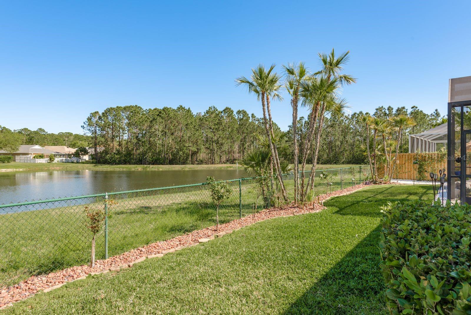 14705 CORAL BERRY DR, TAMPA, FL, 33626