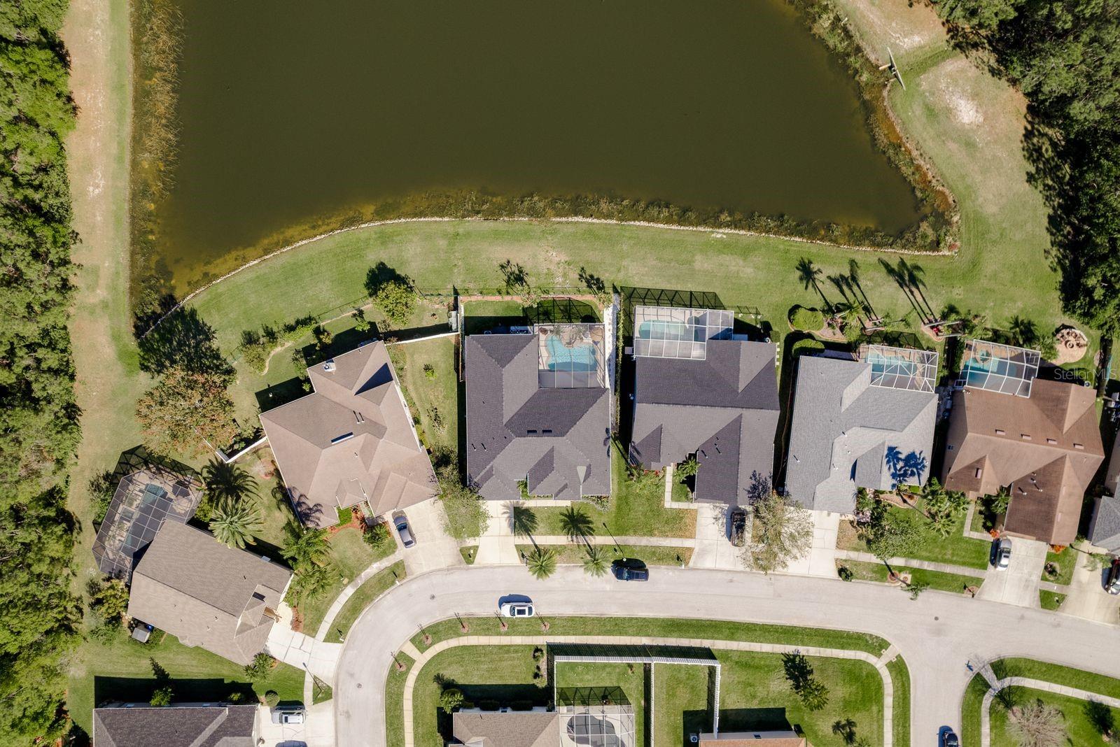 14705 CORAL BERRY DR, TAMPA, FL, 33626