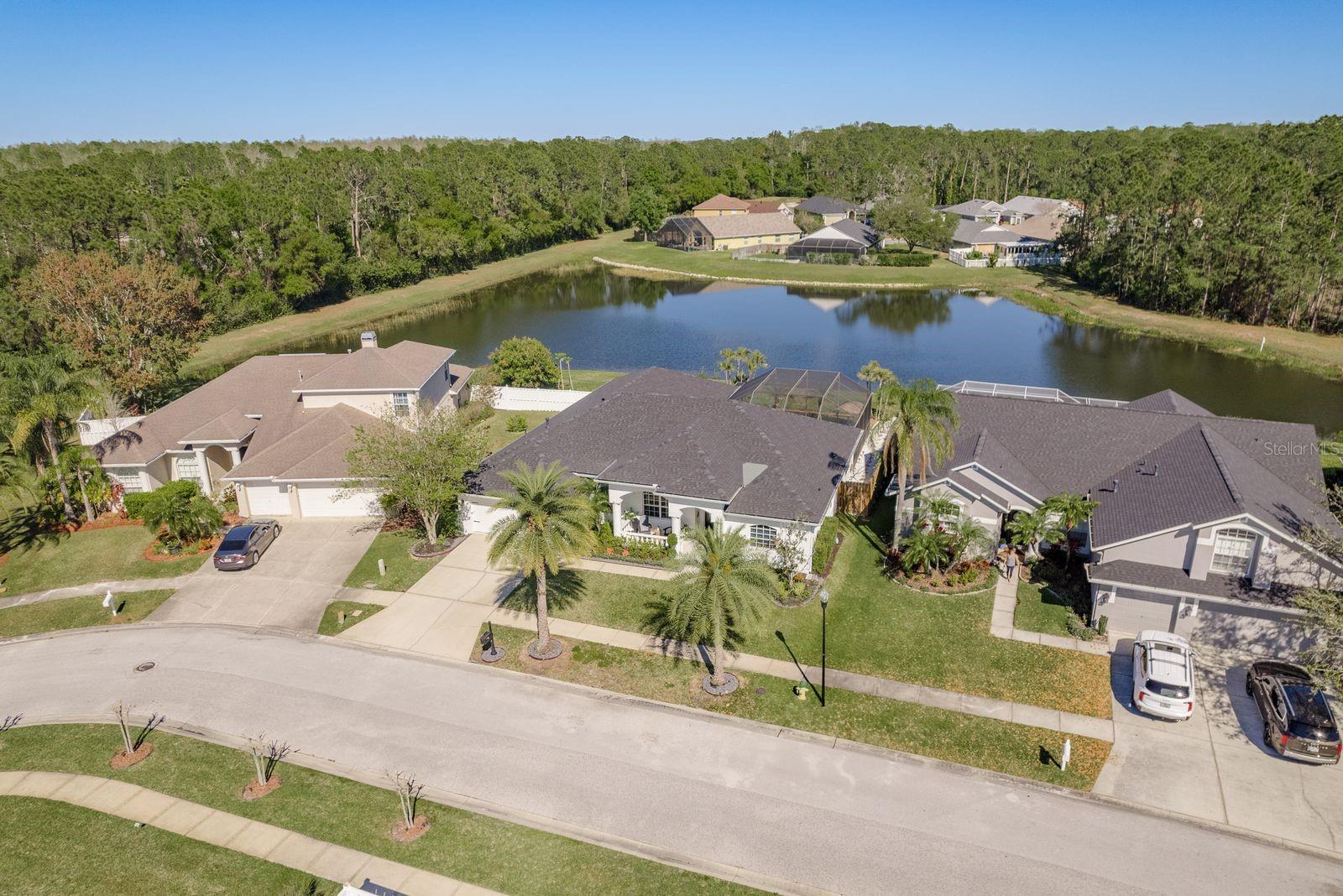14705 CORAL BERRY DR, TAMPA, FL, 33626