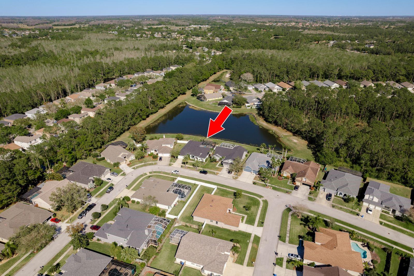 14705 CORAL BERRY DR, TAMPA, FL, 33626