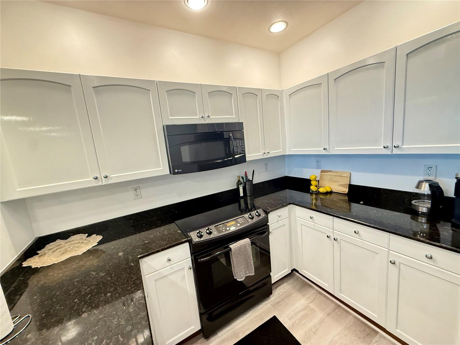 628 CLEVELAND ST #1310, CLEARWATER, FL, 33755