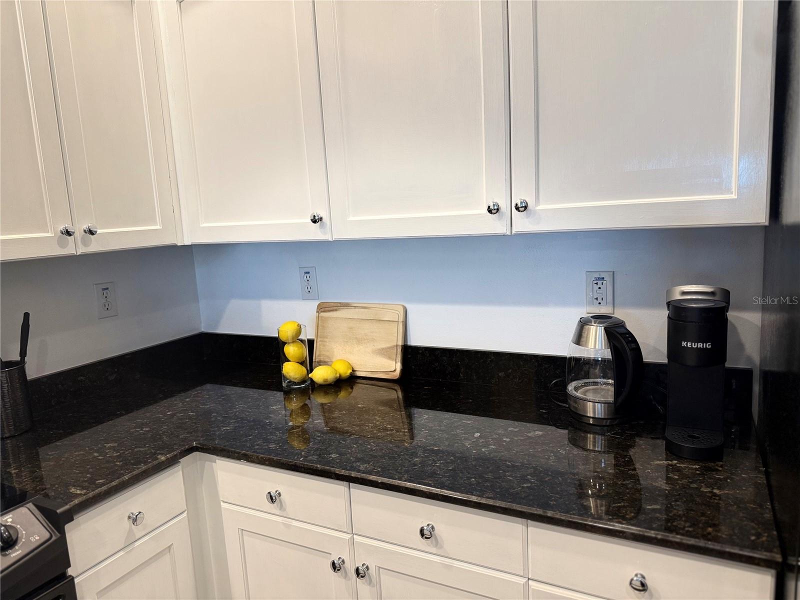 628 CLEVELAND ST #1310, CLEARWATER, FL, 33755