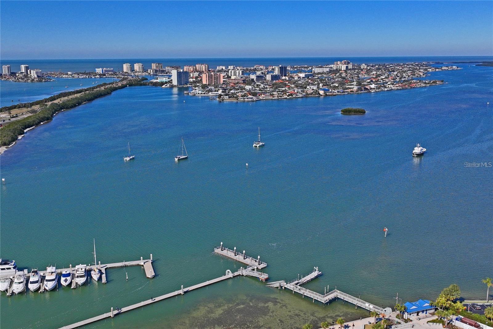 628 CLEVELAND ST #1310, CLEARWATER, FL, 33755