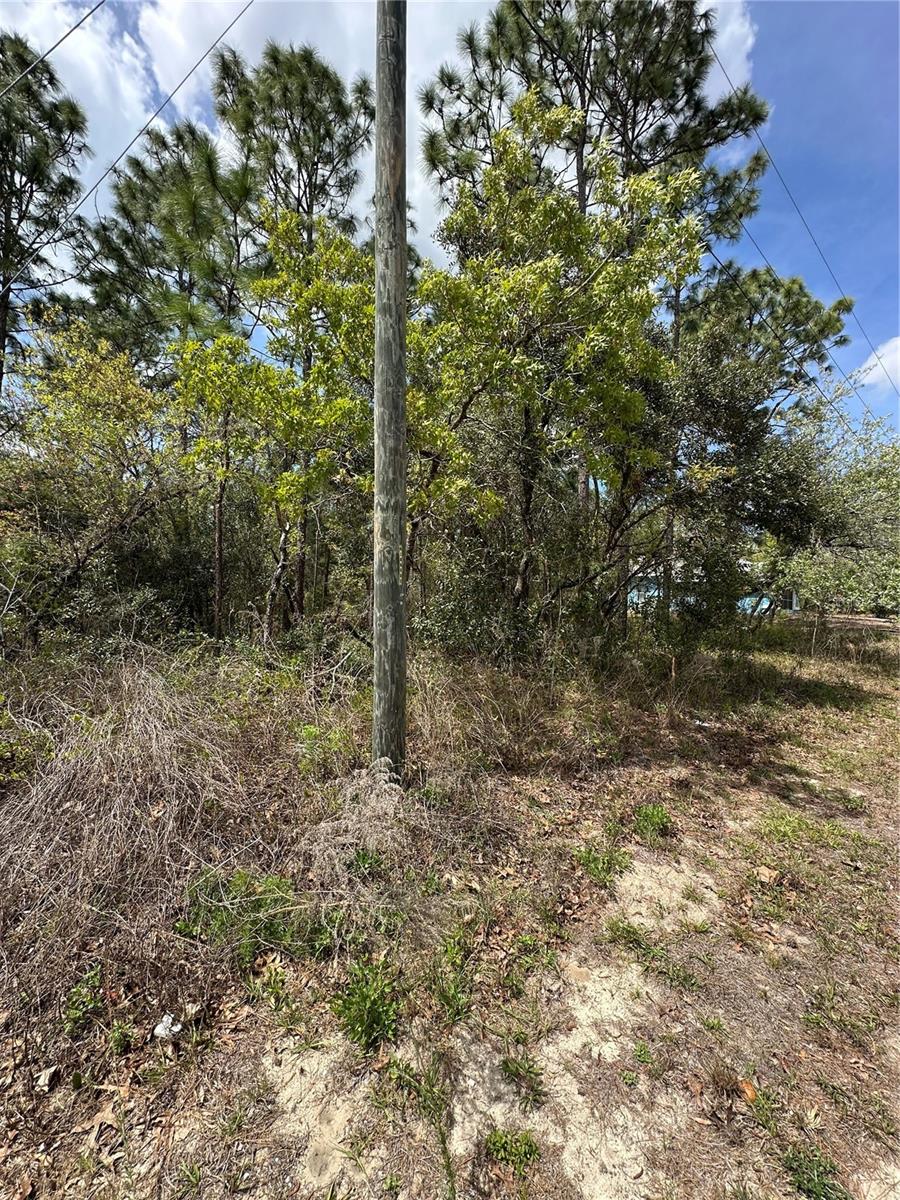 2 FRINGETREE CT, HOMOSASSA, FL, 34446