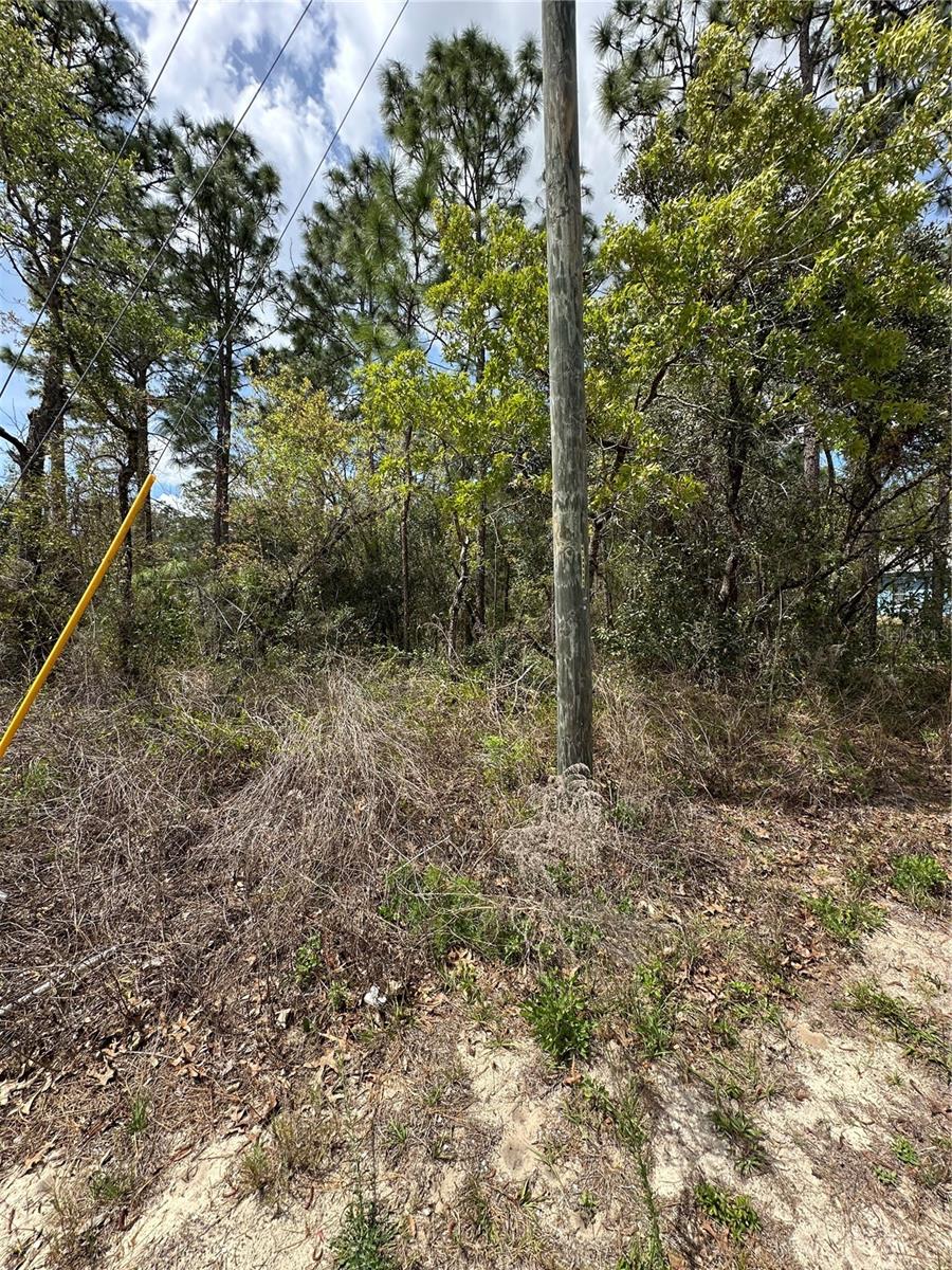 2 FRINGETREE CT, HOMOSASSA, FL, 34446