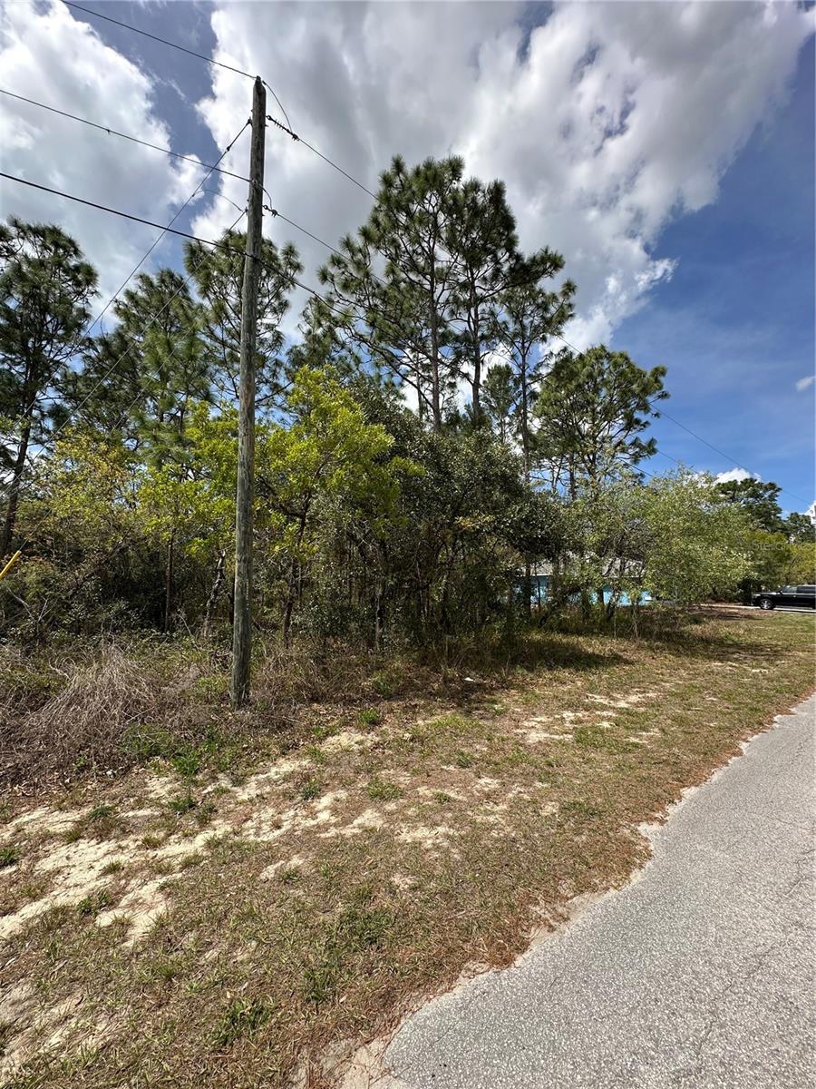 2 FRINGETREE CT, HOMOSASSA, FL, 34446