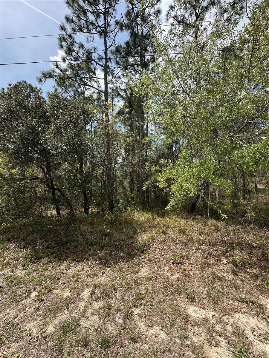 2 FRINGETREE CT, HOMOSASSA, FL, 34446