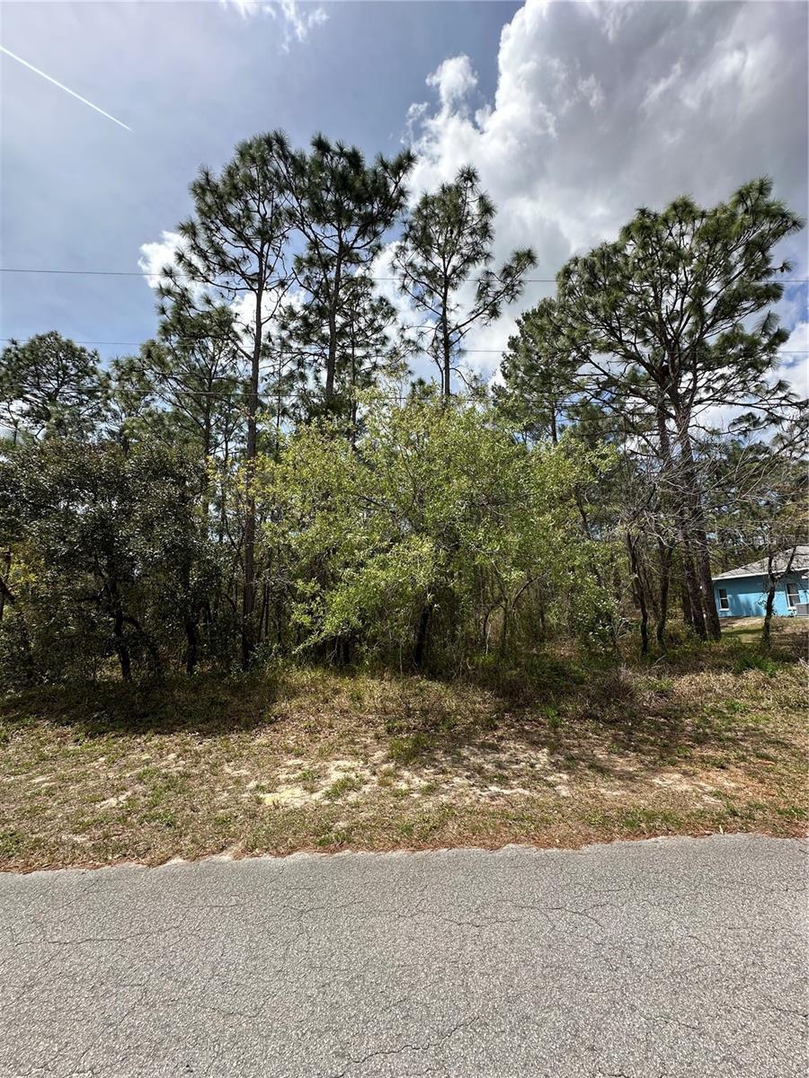 2 FRINGETREE CT, HOMOSASSA, FL, 34446