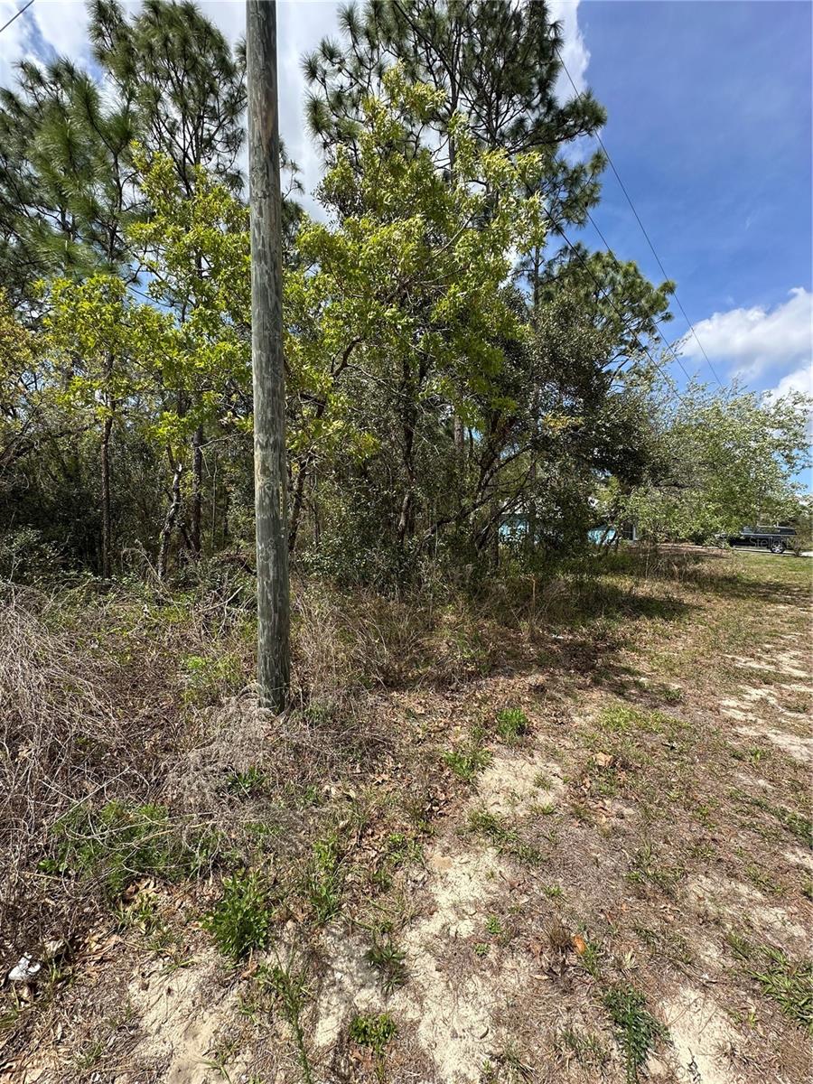 2 FRINGETREE CT, HOMOSASSA, FL, 34446