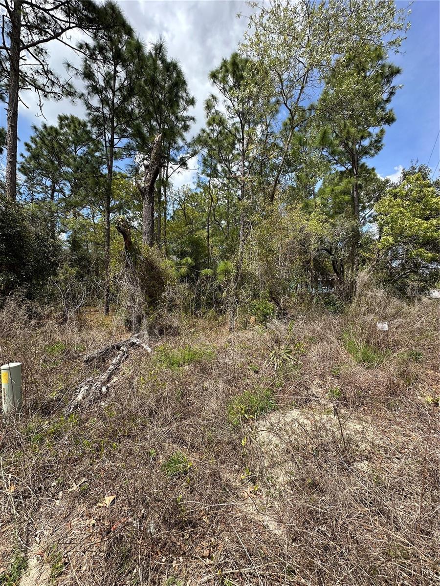 2 FRINGETREE CT, HOMOSASSA, FL, 34446