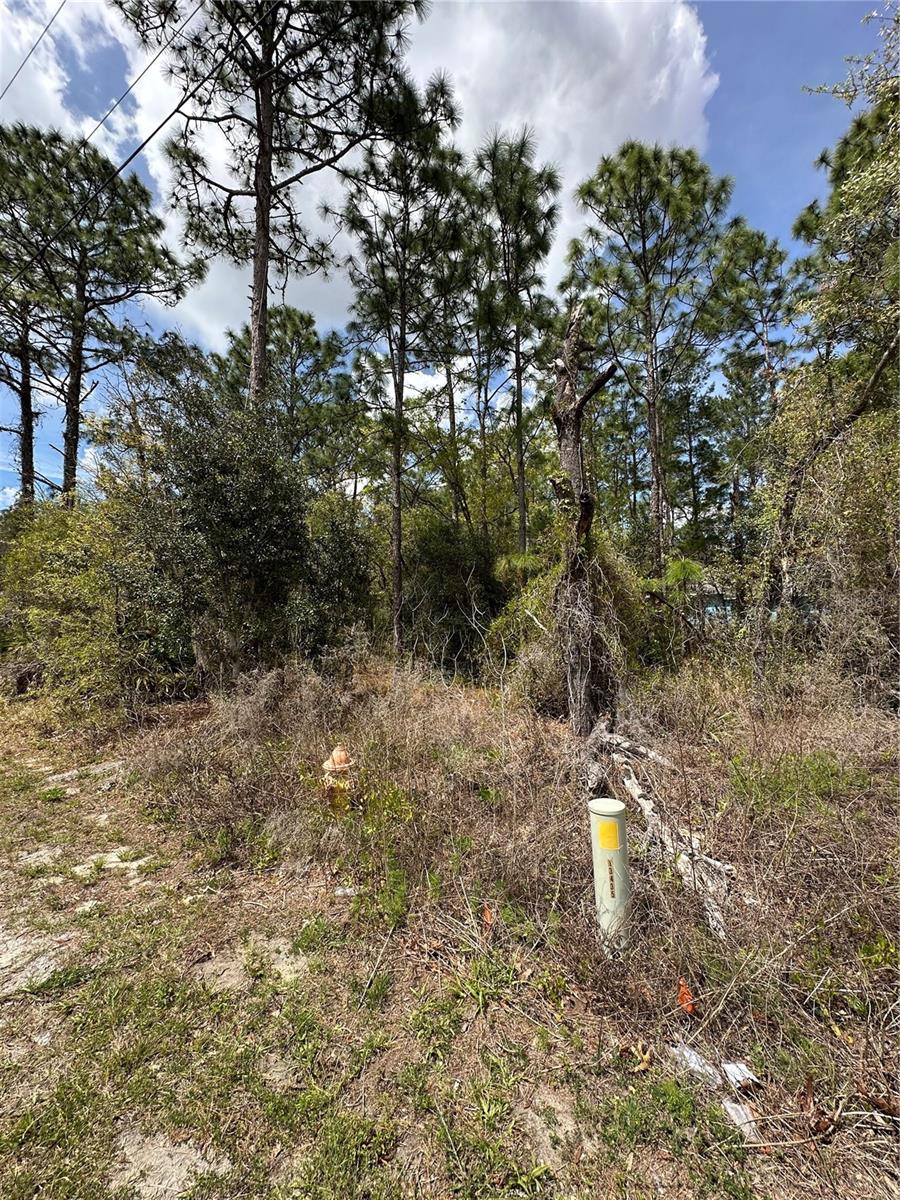 2 FRINGETREE CT, HOMOSASSA, FL, 34446