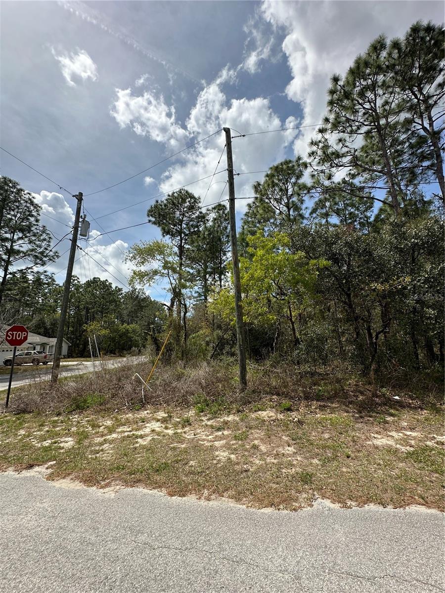 2 FRINGETREE CT, HOMOSASSA, FL, 34446