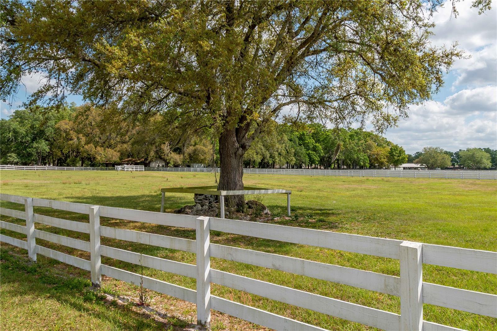 4450 SE 216TH AVE, MORRISTON, FL, 32668