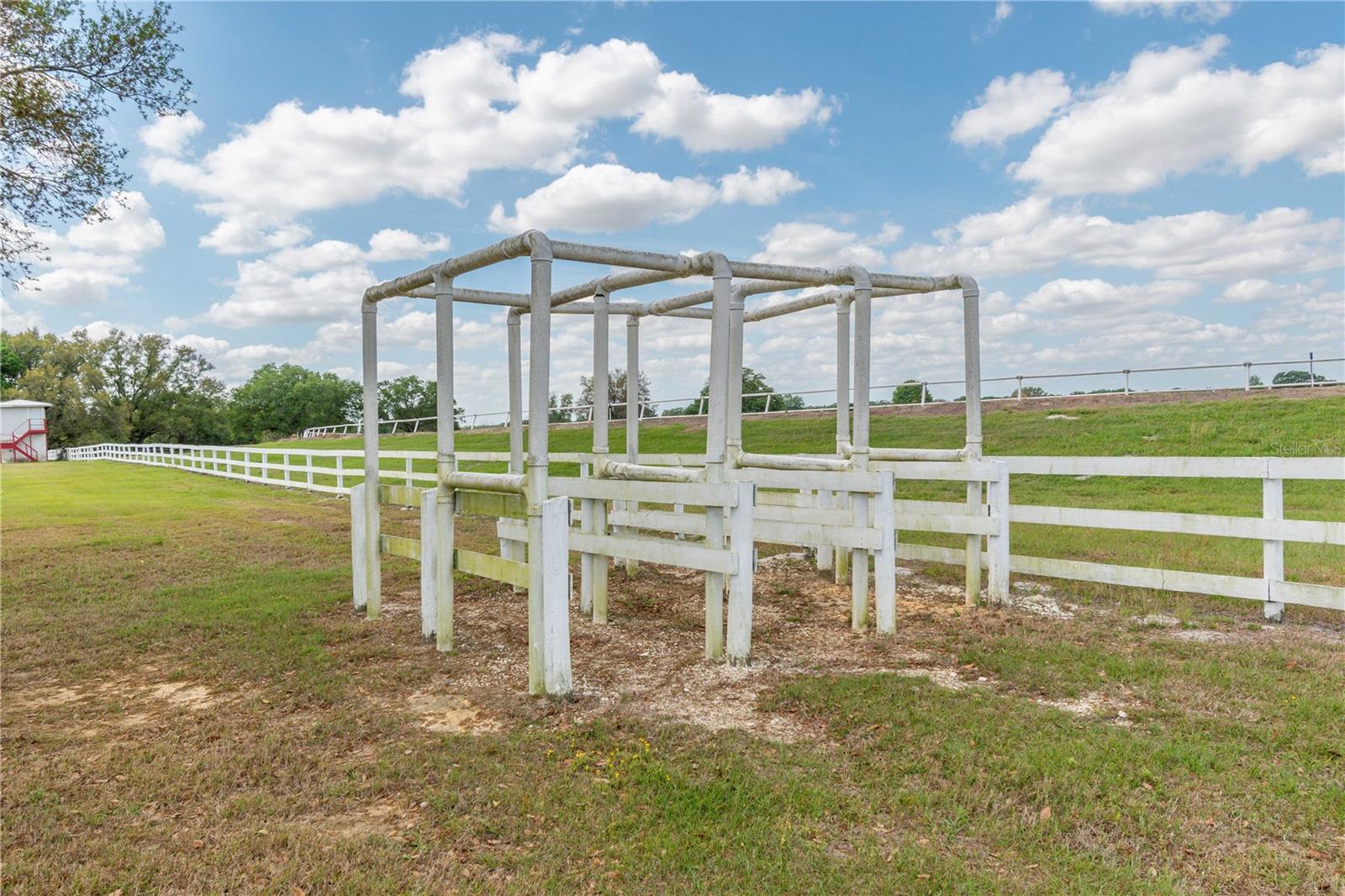 4450 SE 216TH AVE, MORRISTON, FL, 32668