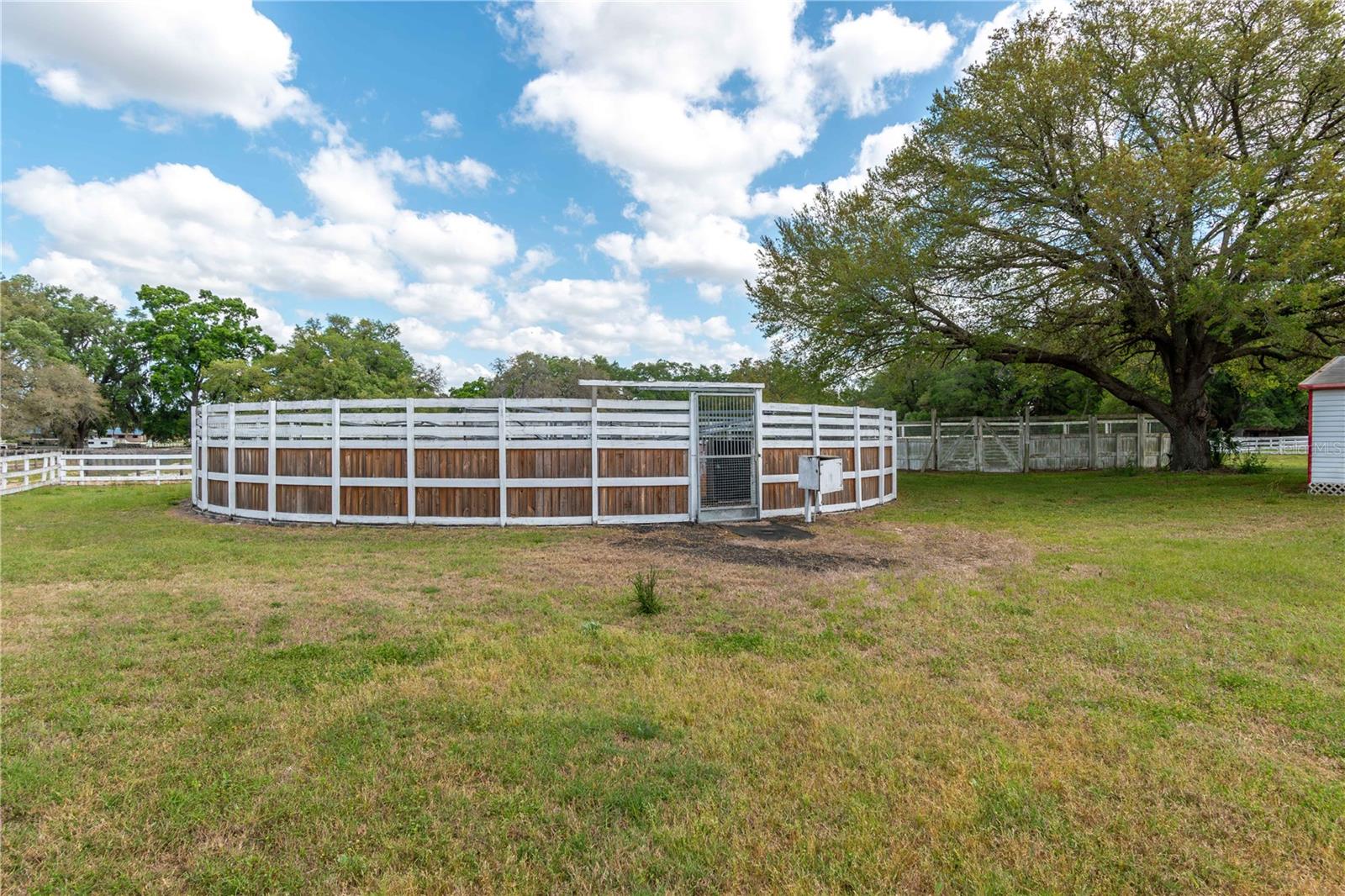 4450 SE 216TH AVE, MORRISTON, FL, 32668