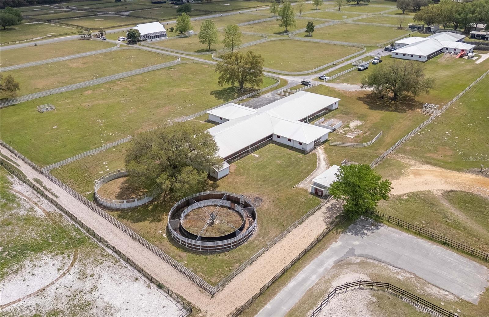 4450 SE 216TH AVE, MORRISTON, FL, 32668