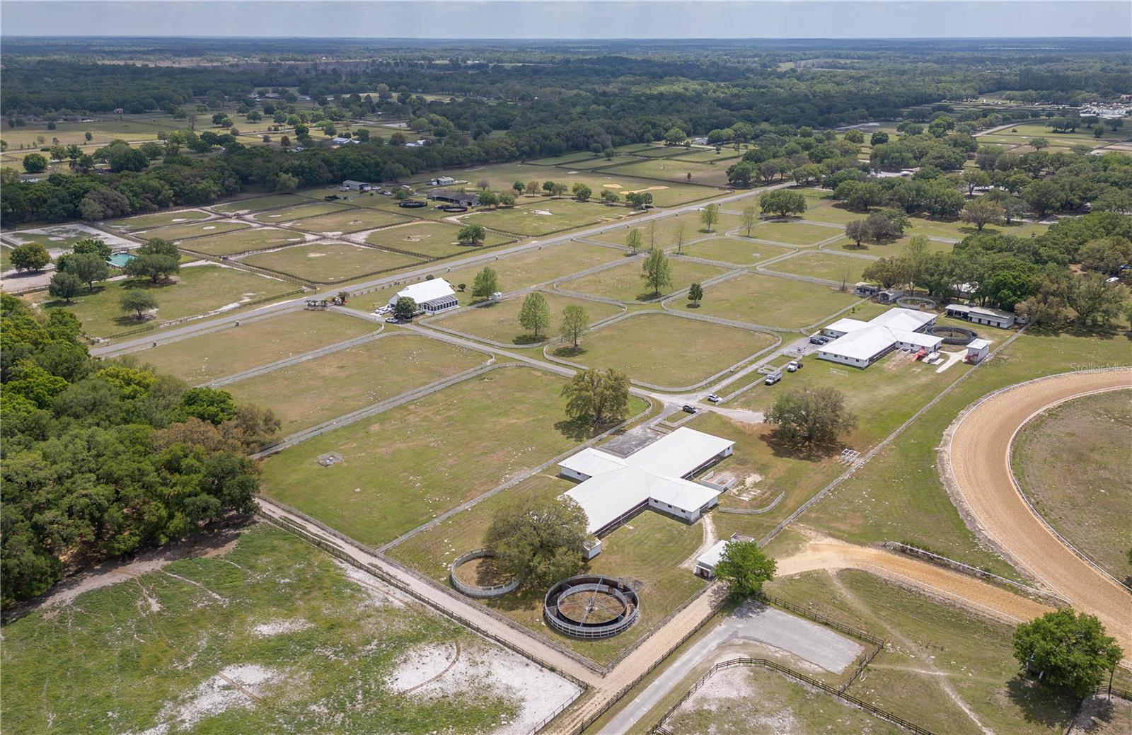 4450 SE 216TH AVE, MORRISTON, FL, 32668