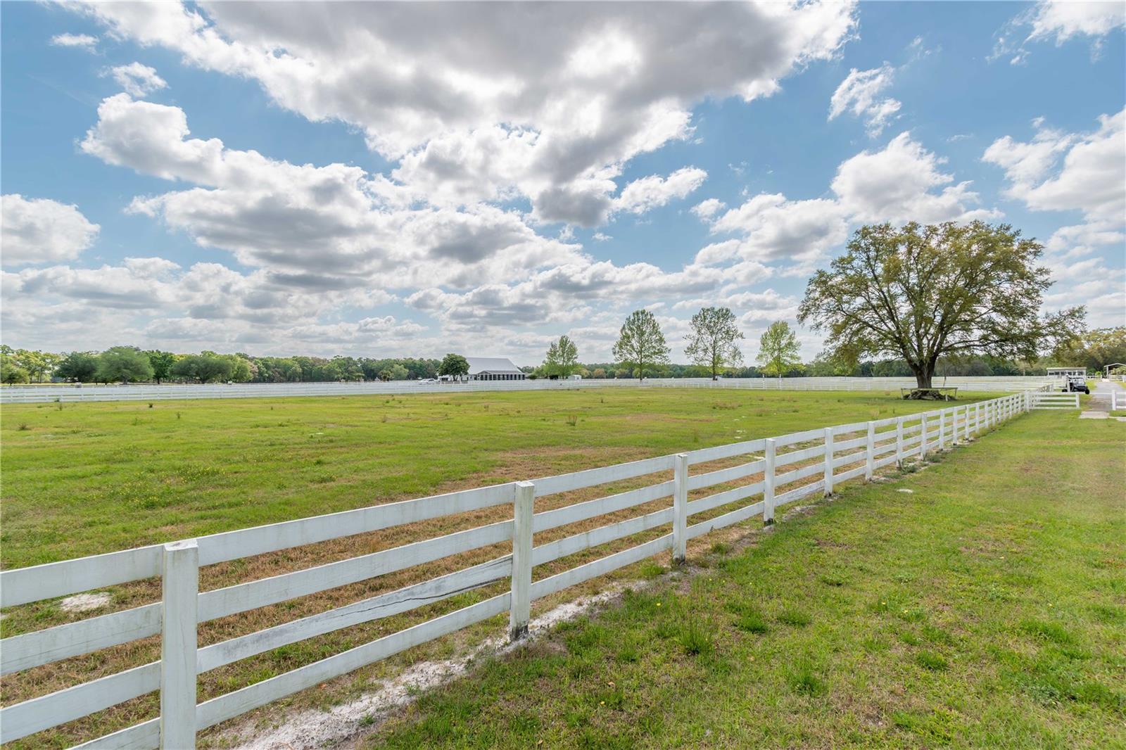 4450 SE 216TH AVE, MORRISTON, FL, 32668