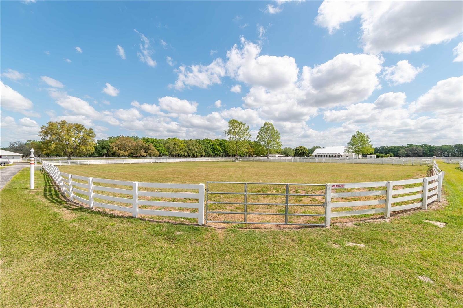 4450 SE 216TH AVE, MORRISTON, FL, 32668