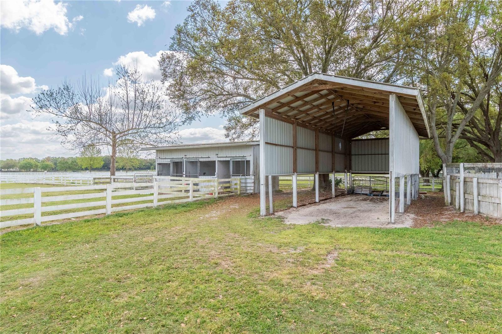 4450 SE 216TH AVE, MORRISTON, FL, 32668