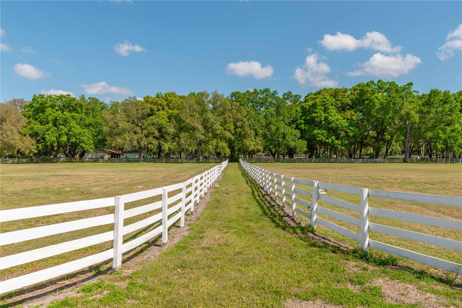 4450 SE 216TH AVE, MORRISTON, FL, 32668