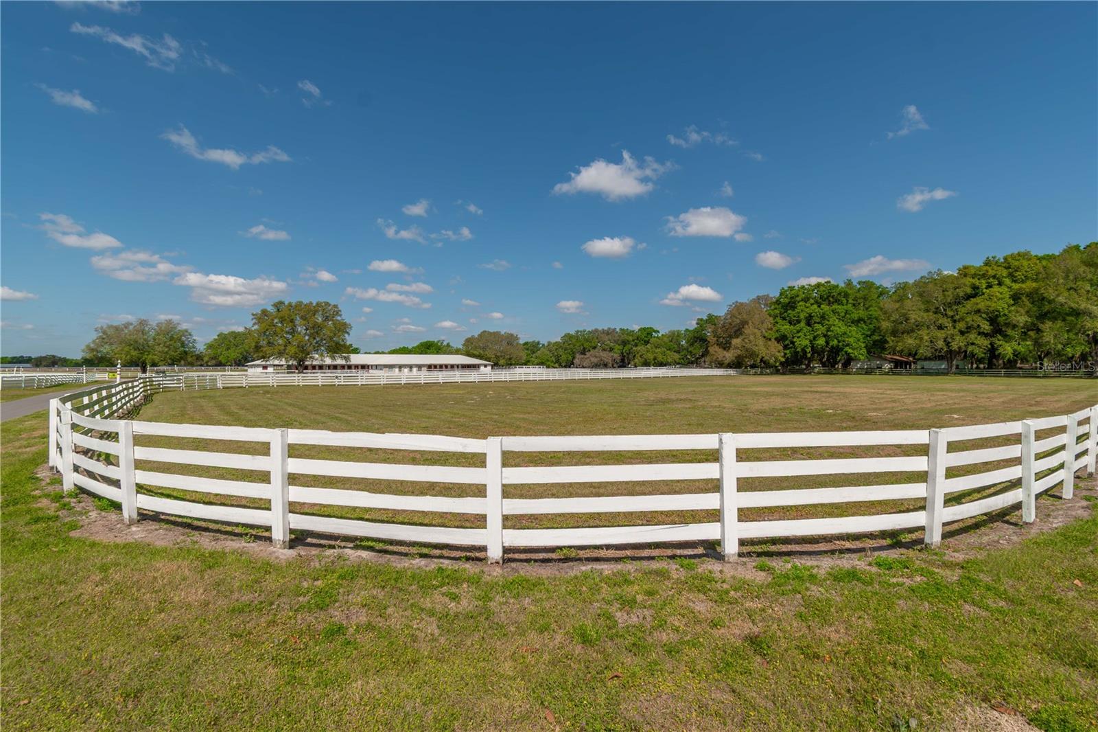 4450 SE 216TH AVE, MORRISTON, FL, 32668