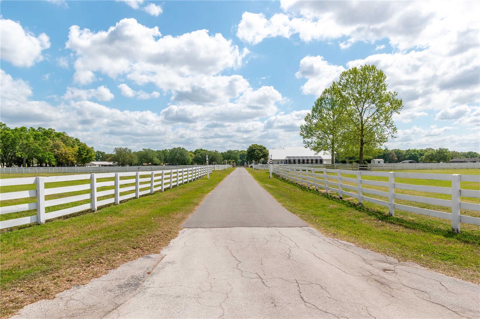 4450 SE 216TH AVE, MORRISTON, FL, 32668