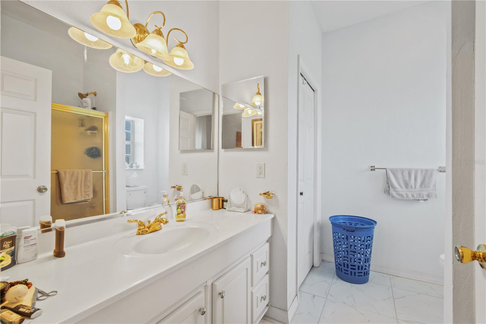 4450 SE 216TH AVE, MORRISTON, FL, 32668