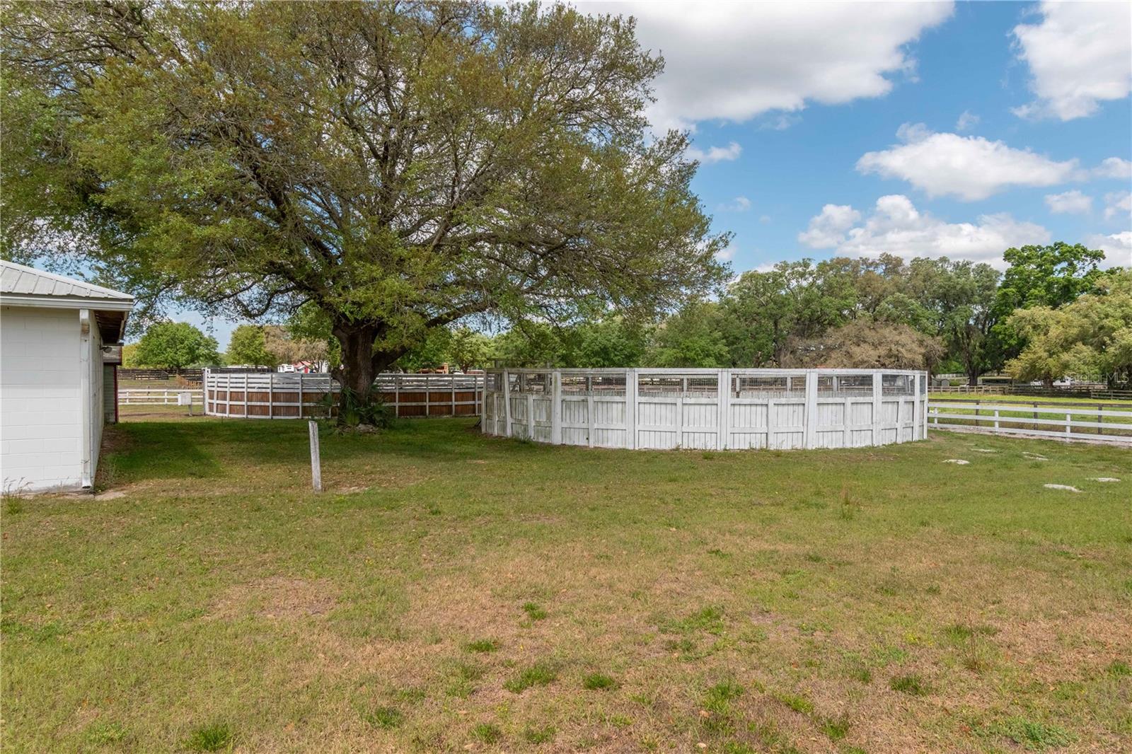 4450 SE 216TH AVE, MORRISTON, FL, 32668
