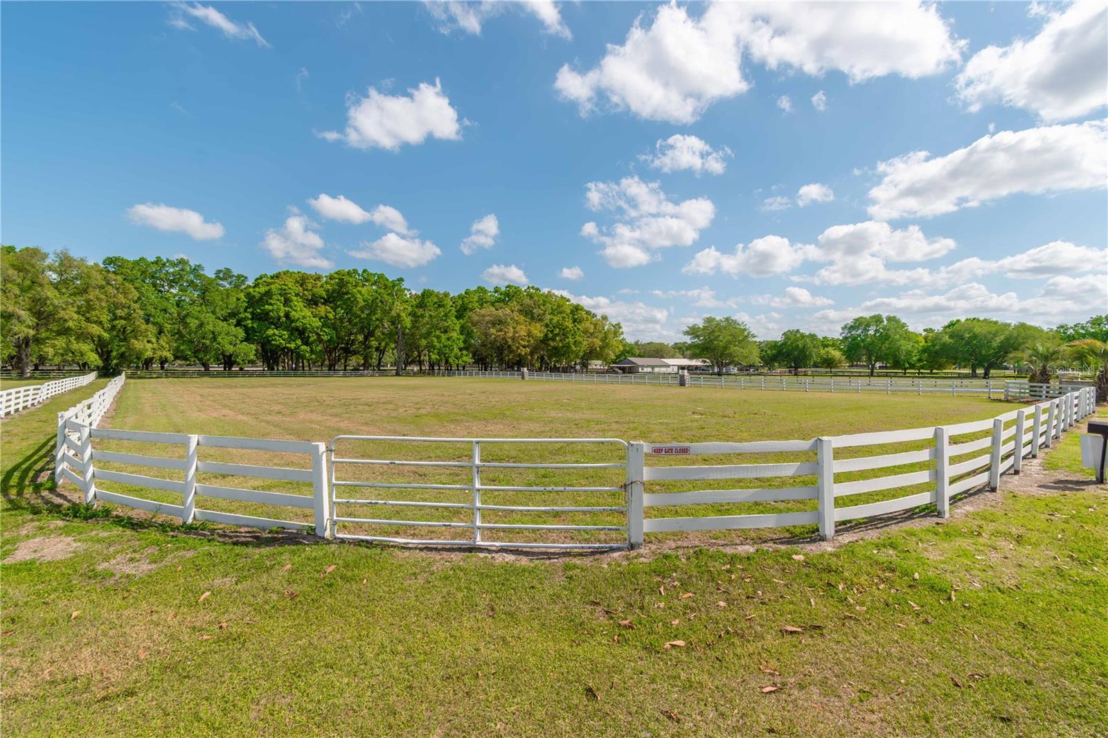 4450 SE 216TH AVE, MORRISTON, FL, 32668