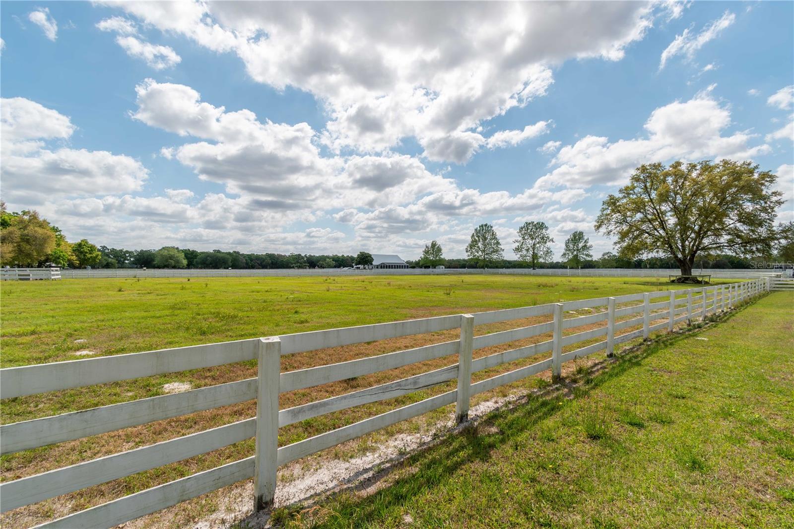 4450 SE 216TH AVE, MORRISTON, FL, 32668
