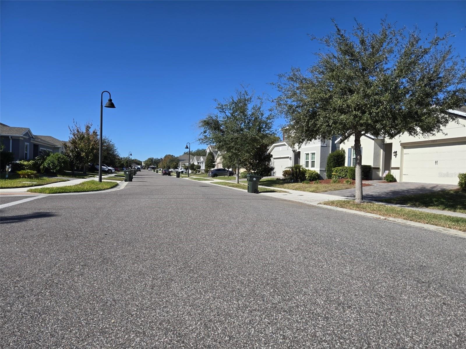1823 IBIS BAY CT, OCOEE, FL, 34761