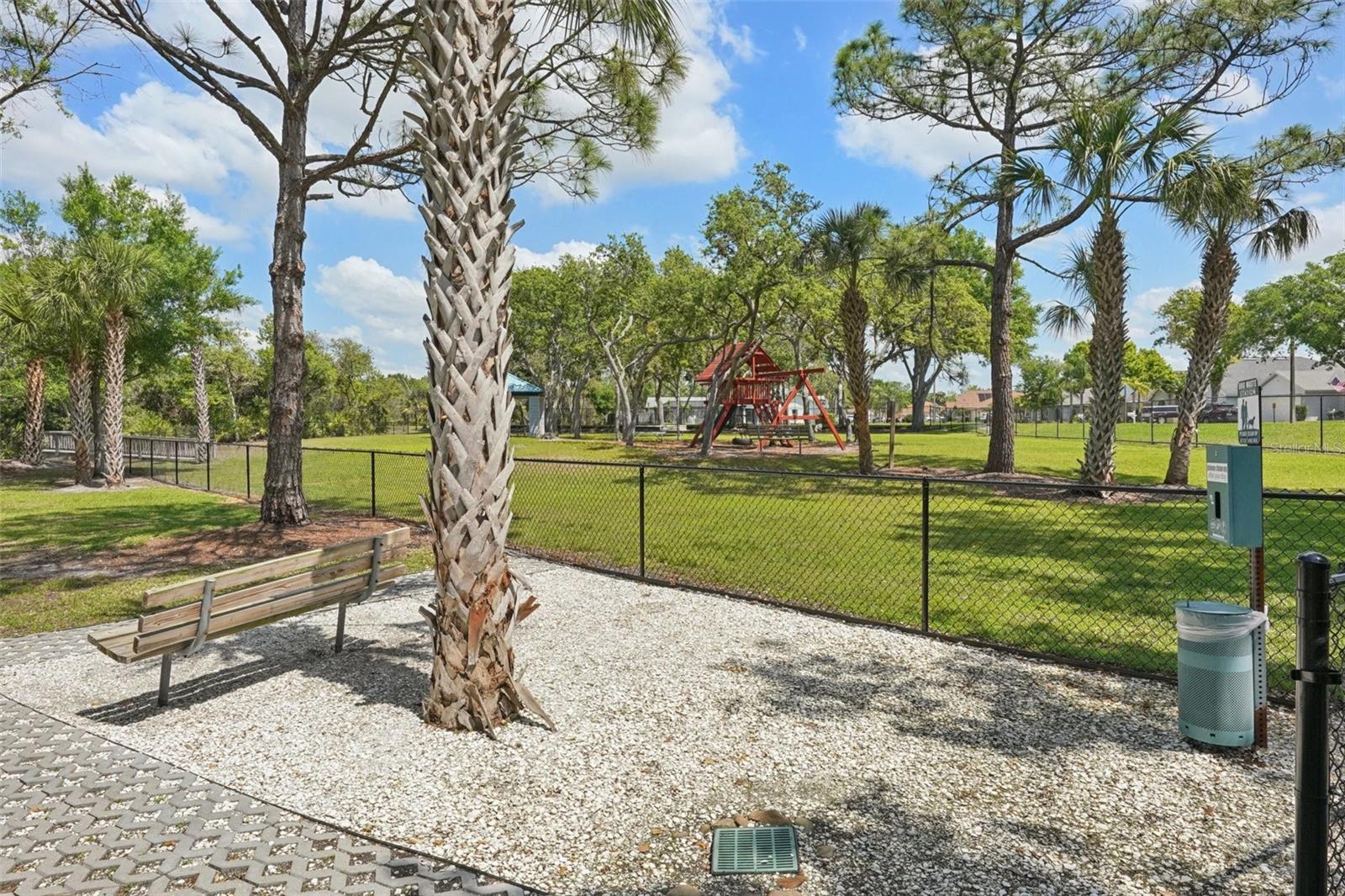 10234 OASIS PALM DR, TAMPA, FL, 33615