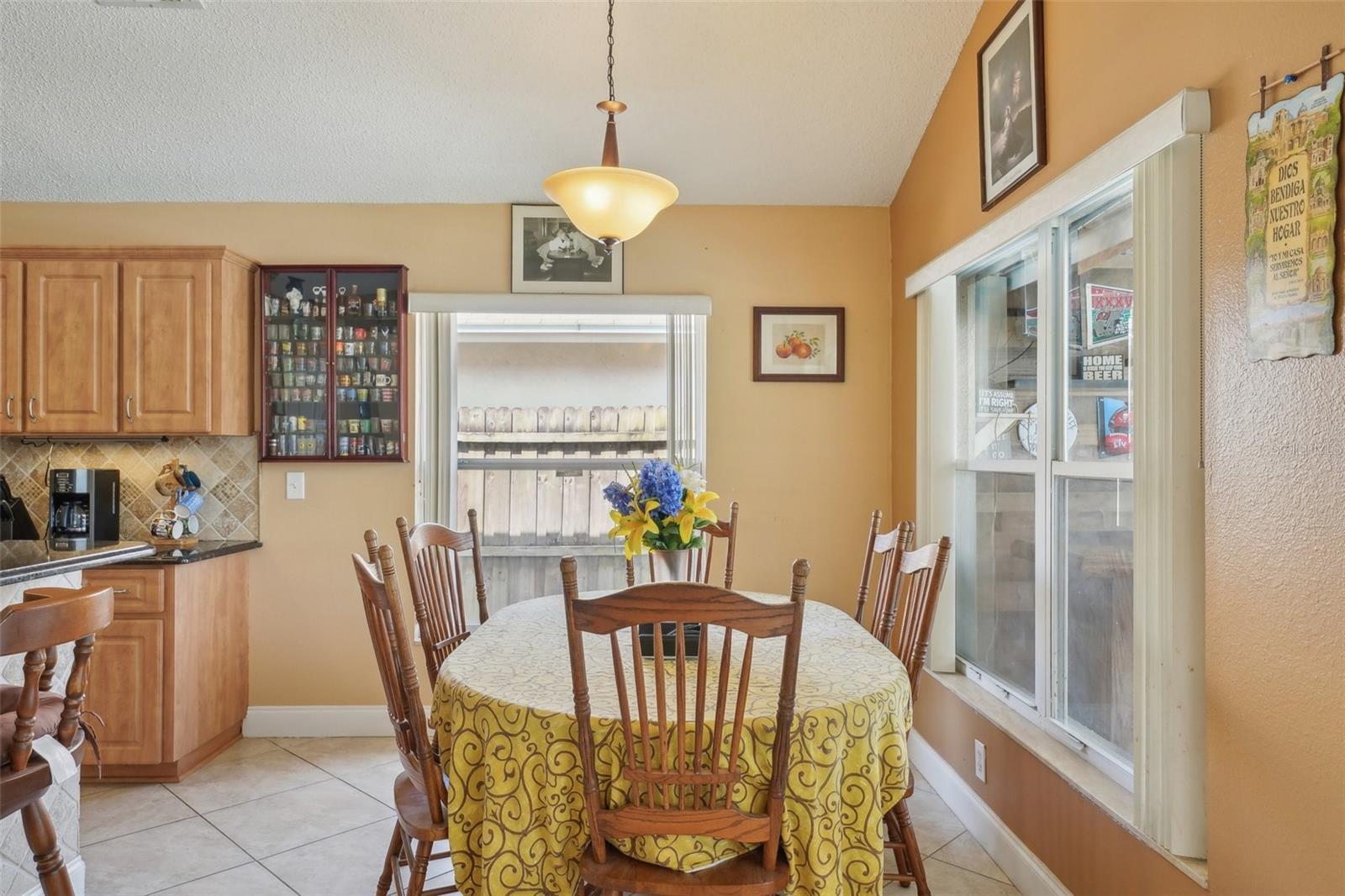 10234 OASIS PALM DR, TAMPA, FL, 33615