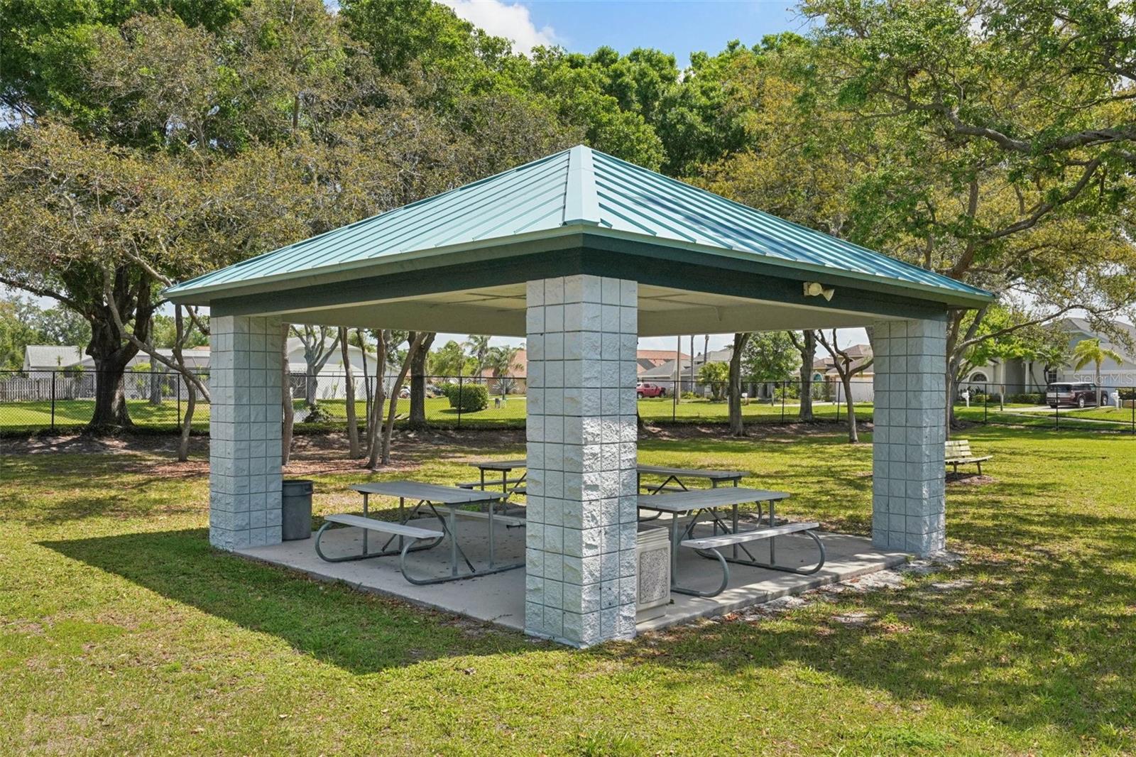 10234 OASIS PALM DR, TAMPA, FL, 33615
