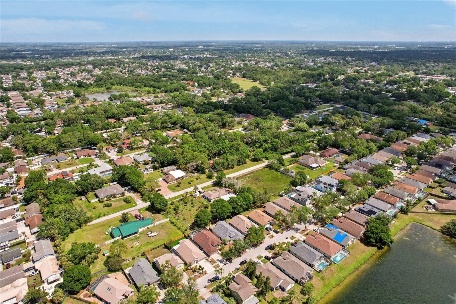 10234 OASIS PALM DR, TAMPA, FL, 33615