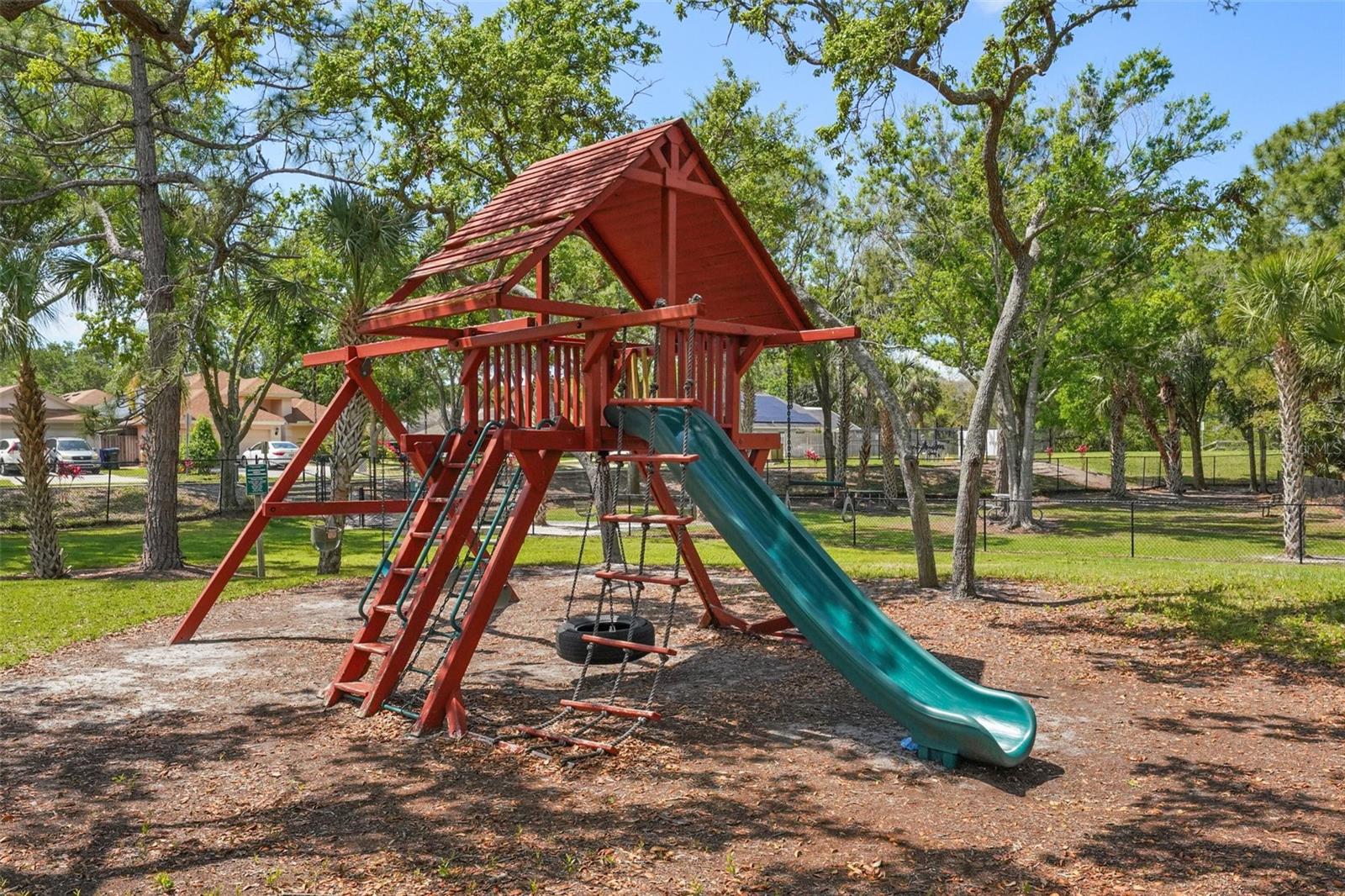 10234 OASIS PALM DR, TAMPA, FL, 33615