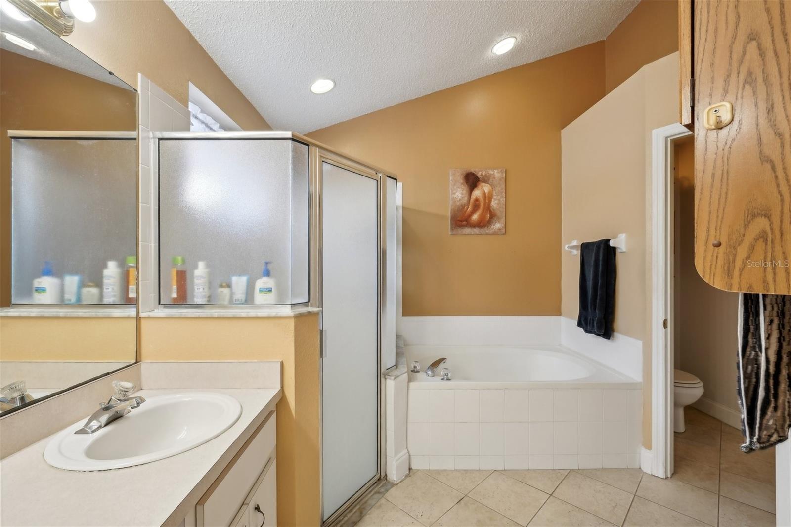 10234 OASIS PALM DR, TAMPA, FL, 33615