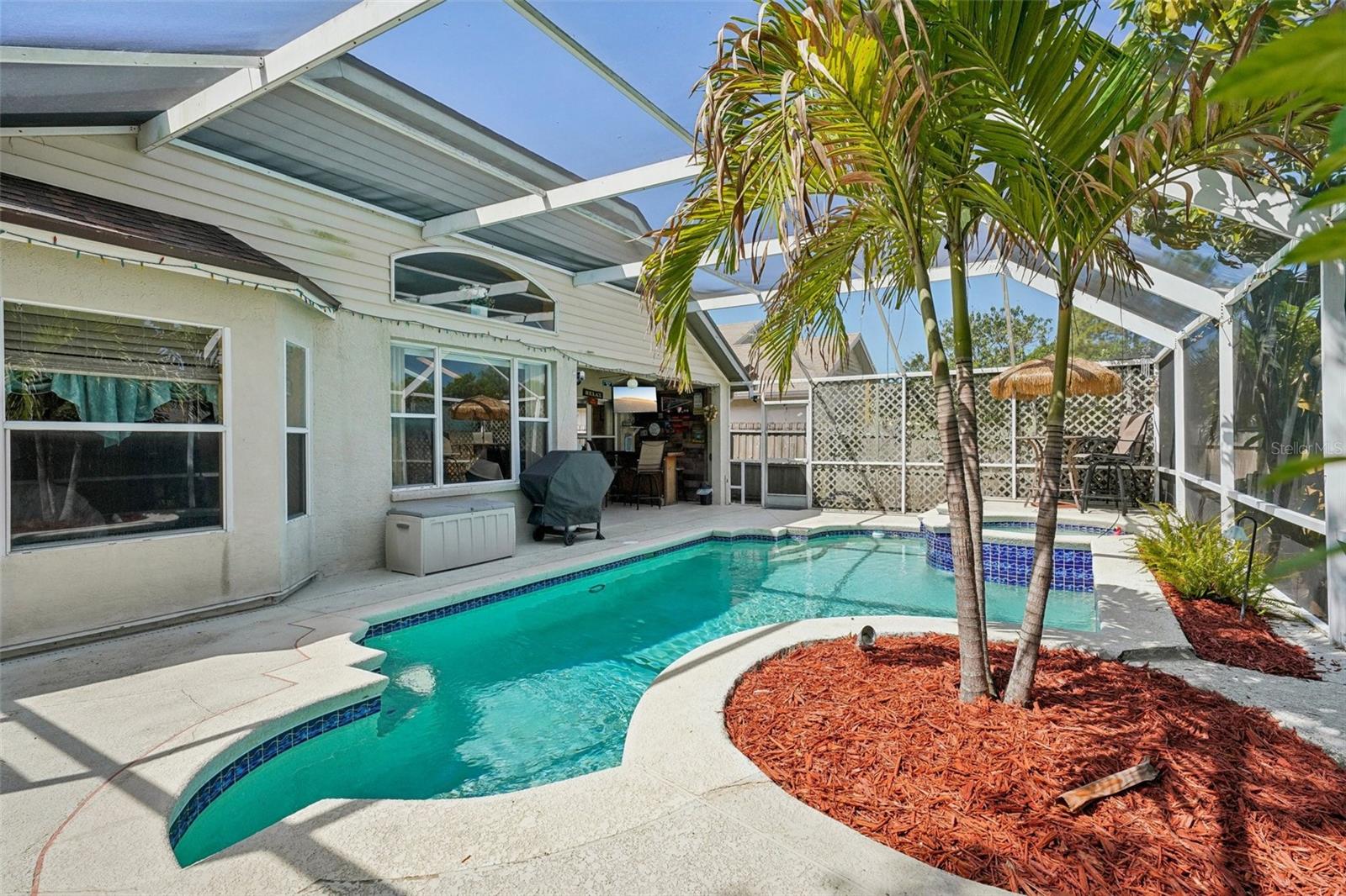 10234 OASIS PALM DR, TAMPA, FL, 33615