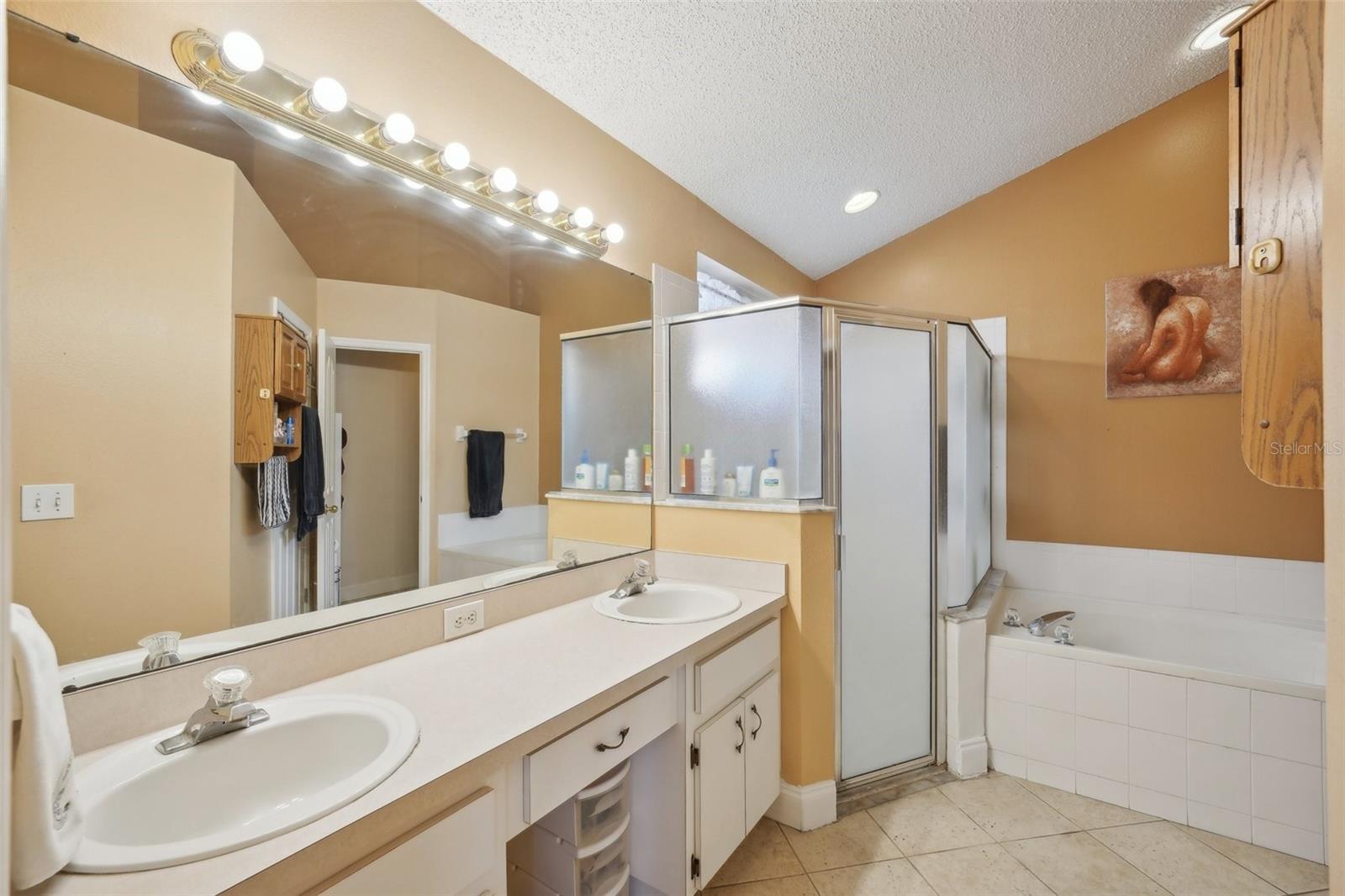 10234 OASIS PALM DR, TAMPA, FL, 33615