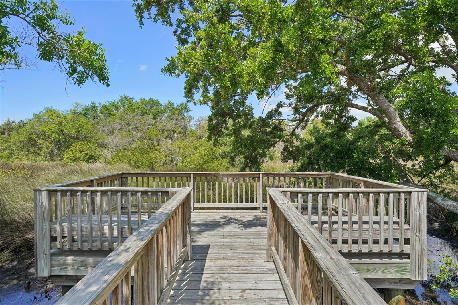 10234 OASIS PALM DR, TAMPA, FL, 33615