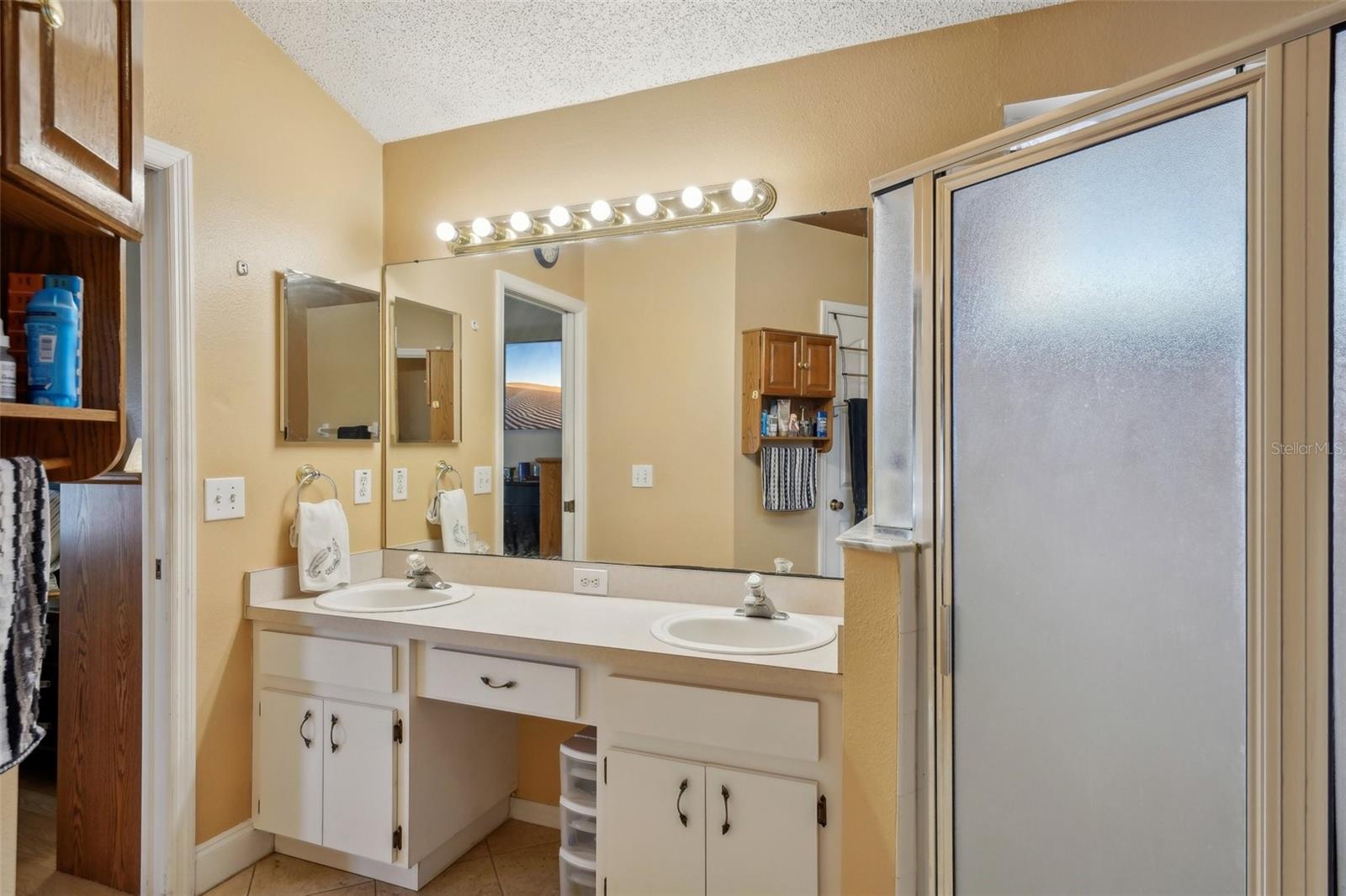 10234 OASIS PALM DR, TAMPA, FL, 33615