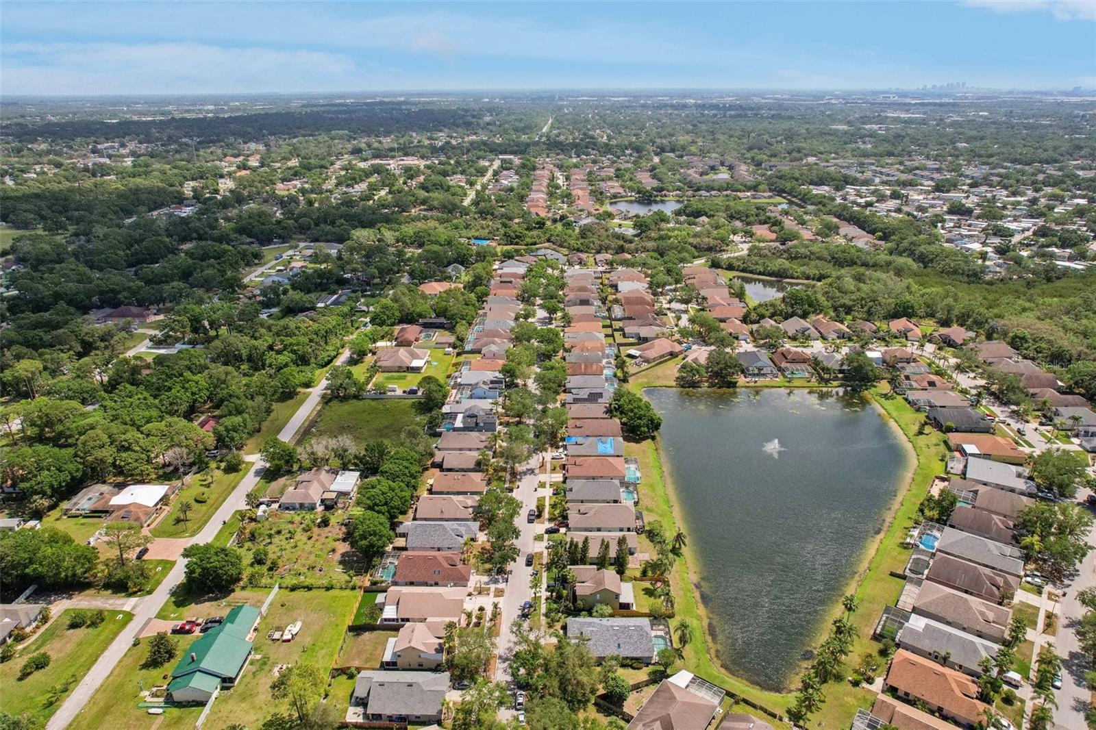 10234 OASIS PALM DR, TAMPA, FL, 33615