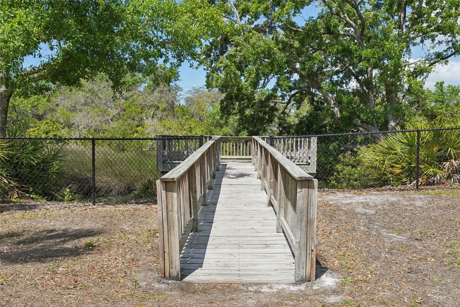 10234 OASIS PALM DR, TAMPA, FL, 33615