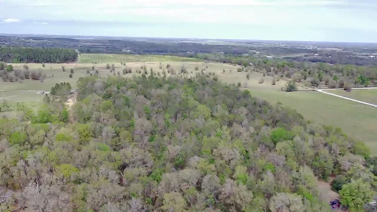 33831 BLANTON RD, DADE CITY, FL, 33523