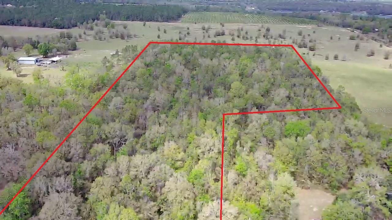 33831 BLANTON RD, DADE CITY, FL, 33523