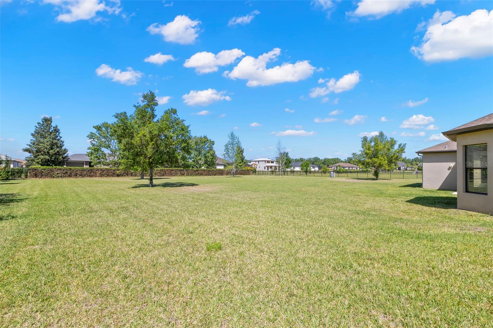 10921 BRICE TREE CT, LITHIA, FL, 33547