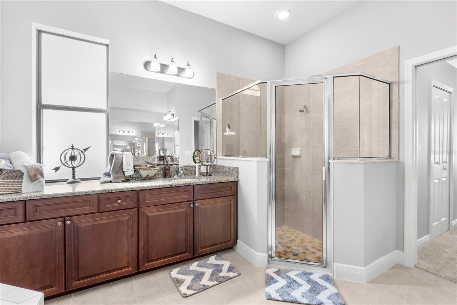 10921 BRICE TREE CT, LITHIA, FL, 33547