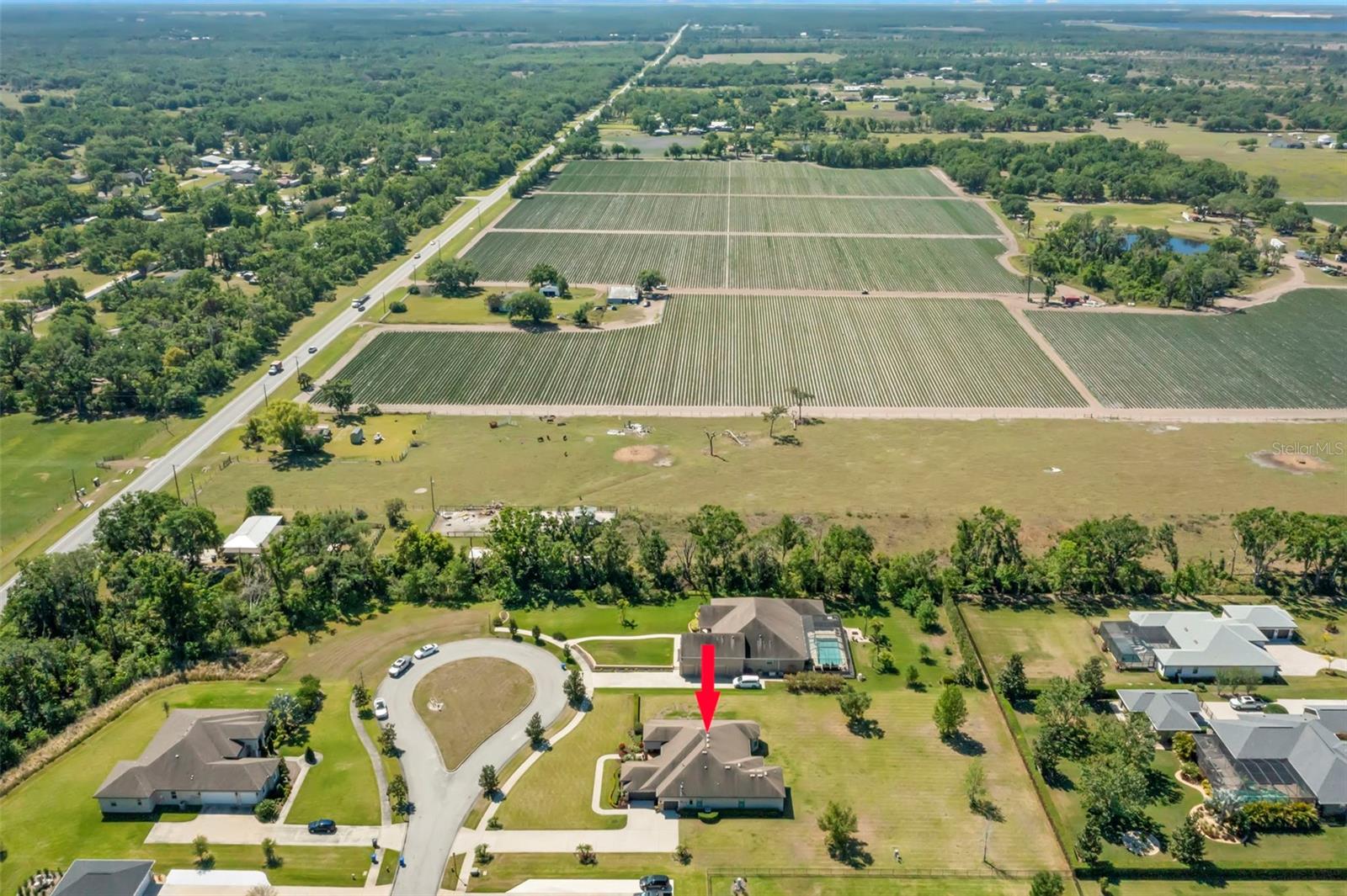 10921 BRICE TREE CT, LITHIA, FL, 33547