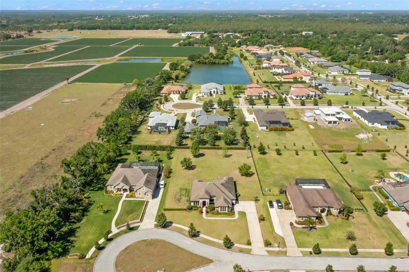 10921 BRICE TREE CT, LITHIA, FL, 33547